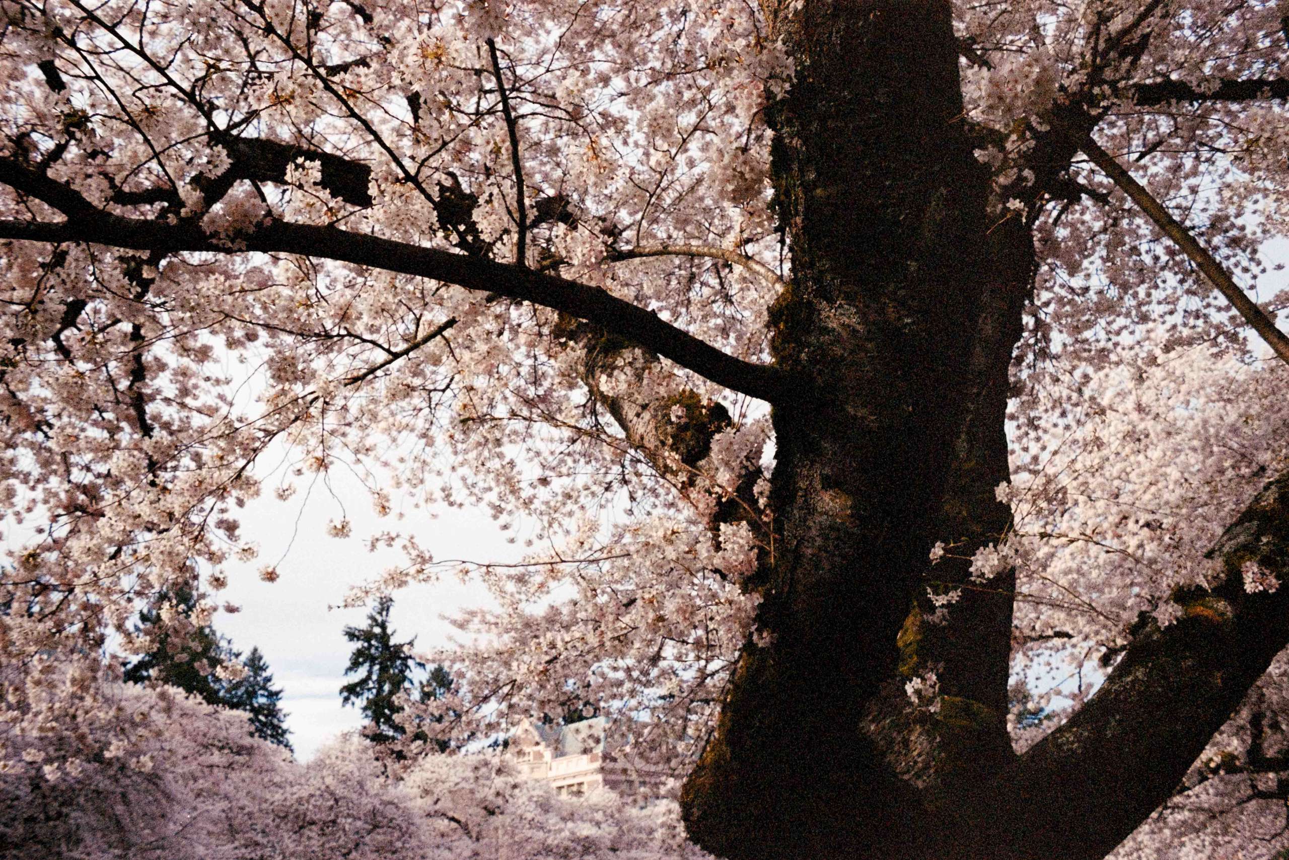 DSCF0167