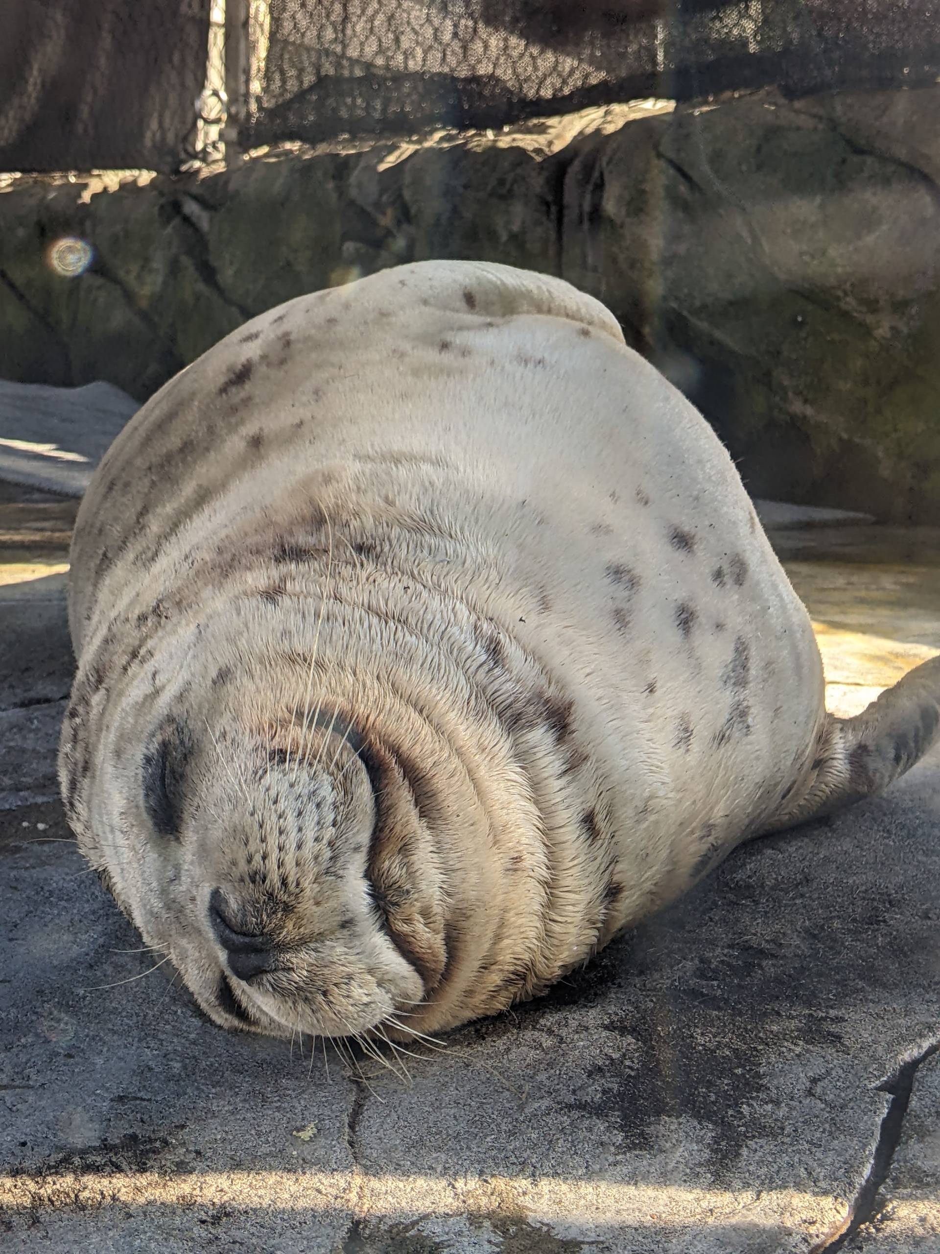 PXL 20231007 220540910.MP