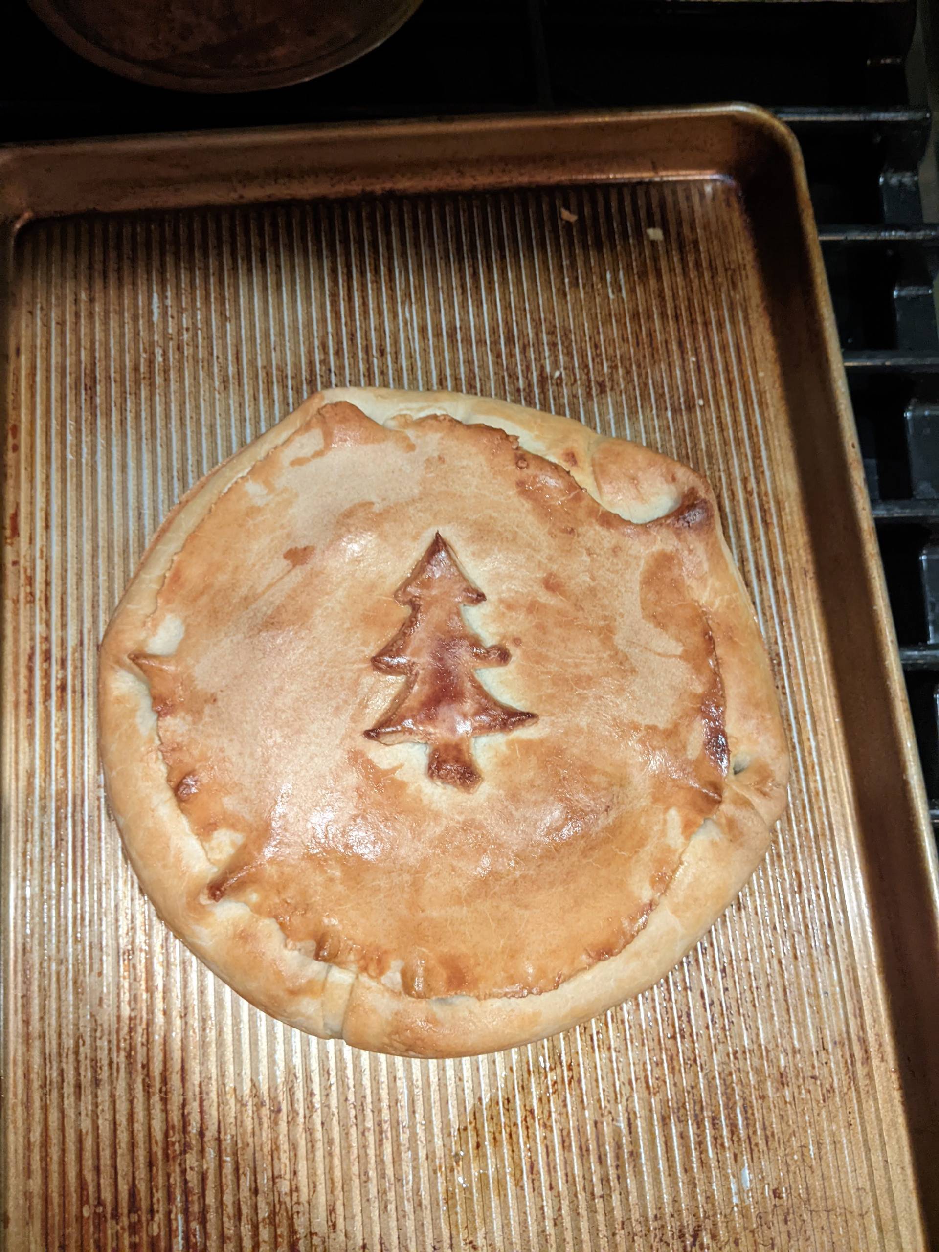 PXL 20221225 061057254.MP