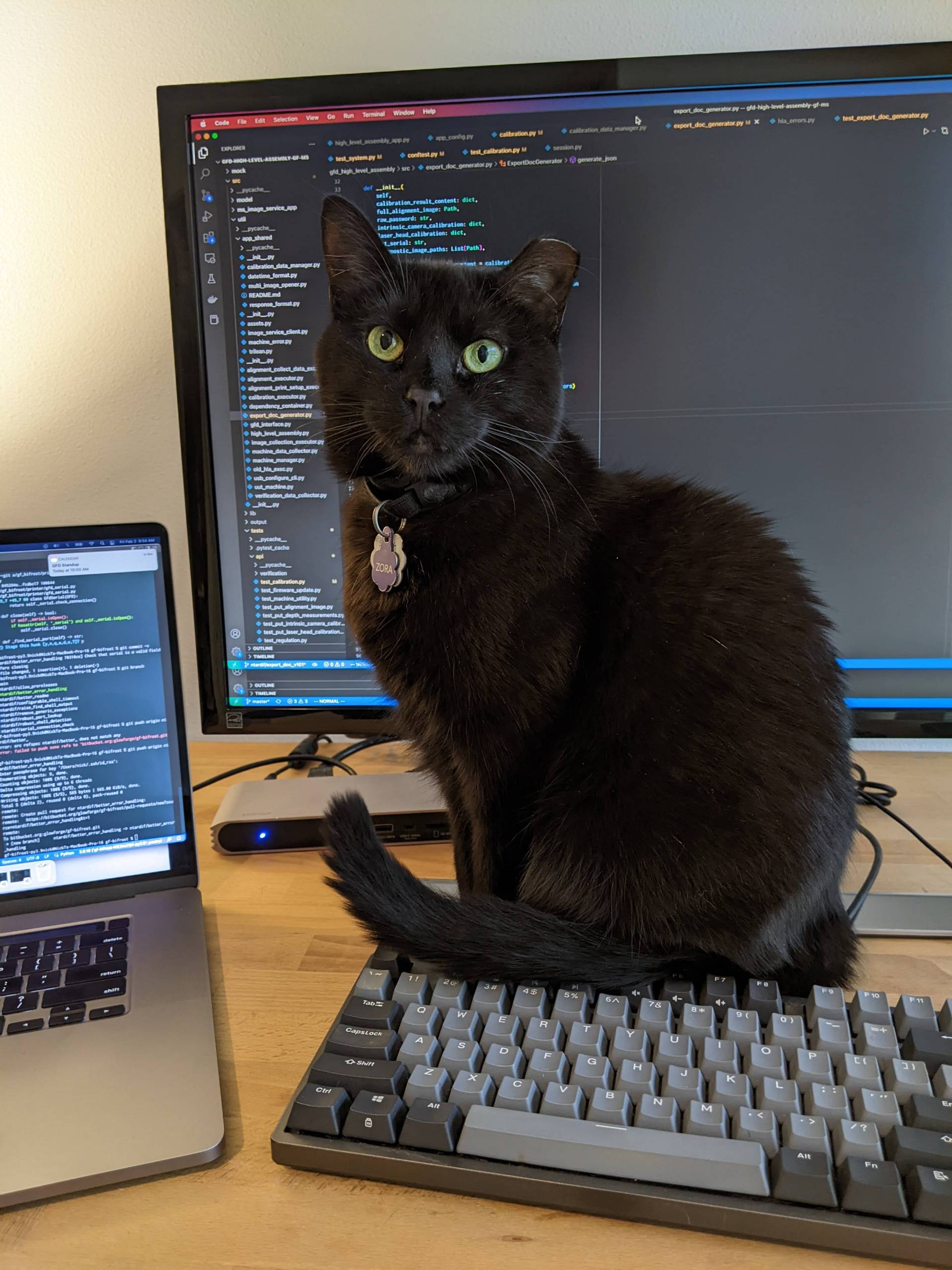 PXL 20230203 175406808.MP